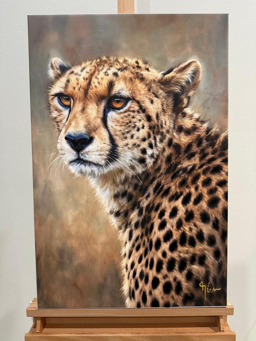 CHEETAH`S GRACEFUL POSE
