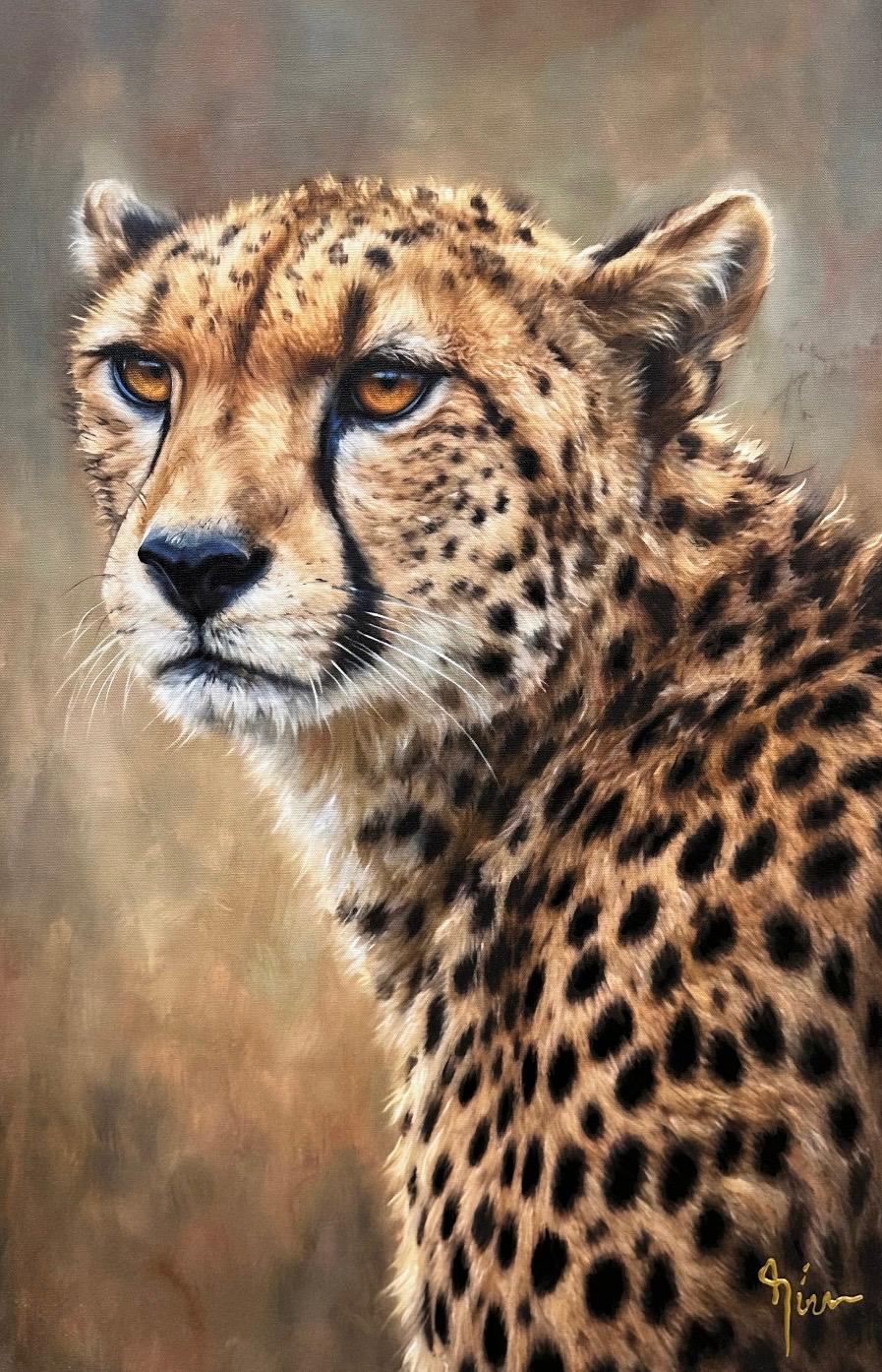 CHEETAH`S GRACEFUL POSE