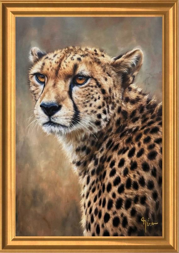 CHEETAH`S GRACEFUL POSE